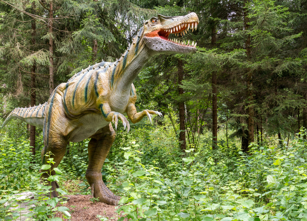 Dinosaur Exhibit Boston photo