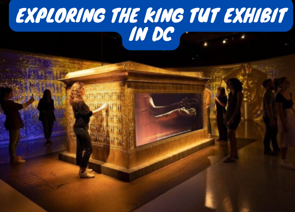 Exploring the King Tut Exhibit in DC photo