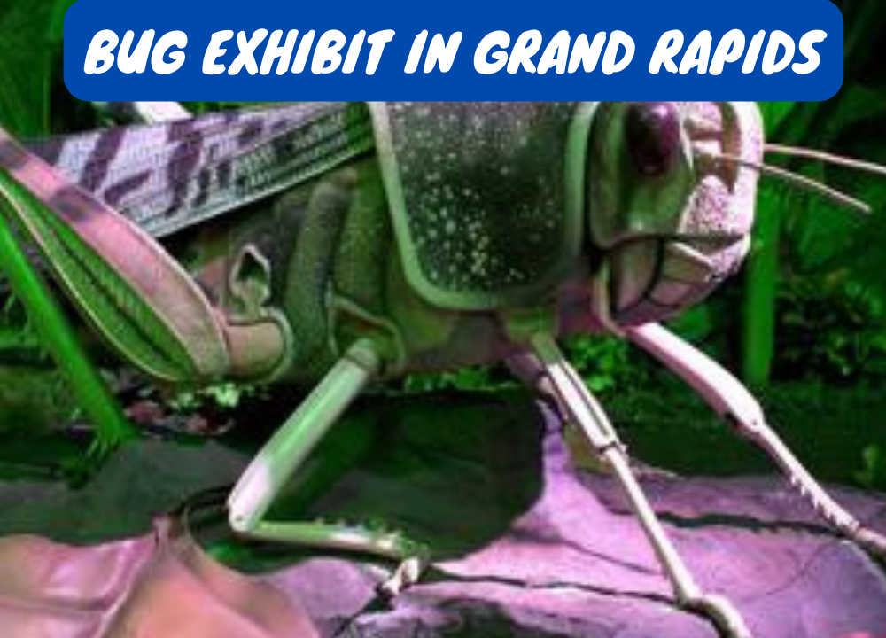Journey into Nature's Wonders Bug Exhibit in Grand Rapids 1