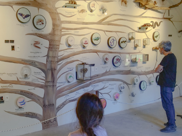 Landmark Year for Art Exhibitions 1