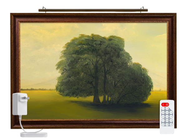 Situ Lighting Plug-in Vision Series Remote Controlled LED Art