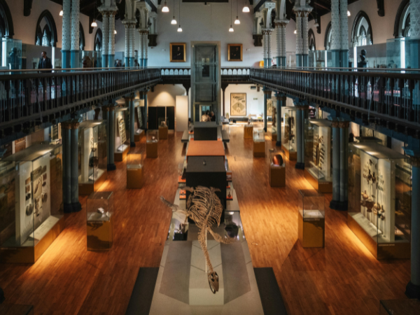 How to Plan the Perfect Museum Day