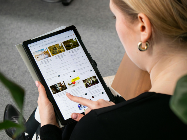 Recommendations for Online Platforms to Discover New Artists
