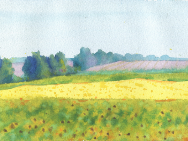Watercolor Painting Techniques for Beginners and Hobby Artists